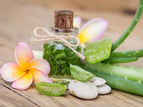 Gel lô hội giải quyết được mọi nỗi lo của chị em về tình trạng sạm da Gel lô hội giải quyết được mọi nỗi lo của chị em về tình trạng sạm da