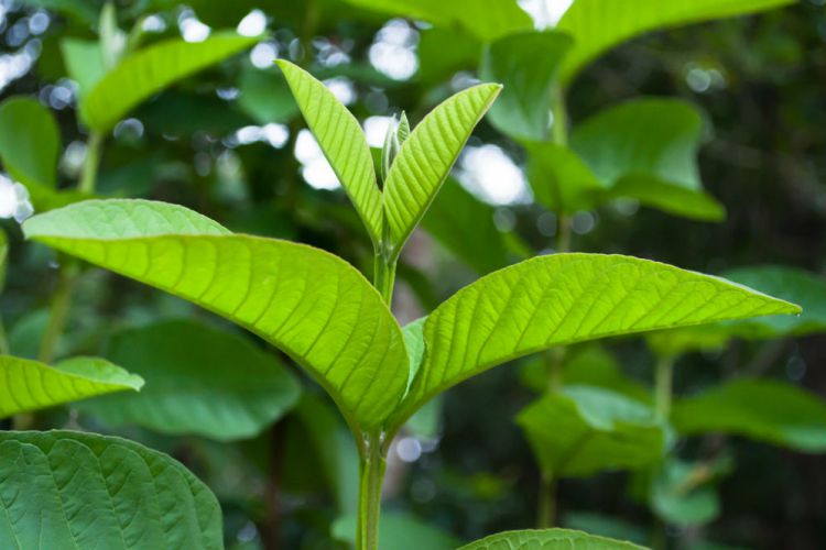 7-tips-lam-dep-sai-lam-chi-em-de-bi-lam-tuong-2 7-tips-lam-dep-sai-lam-chi-em-de-bi-lam-tuong-2