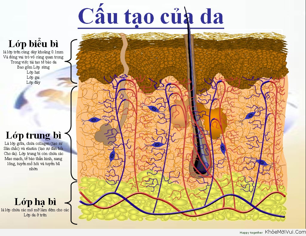 cham-soc-da-dung-cach-truoc-sau-vi-kim-tao-bien cham-soc-da-dung-cach-truoc-sau-vi-kim-tao-bien