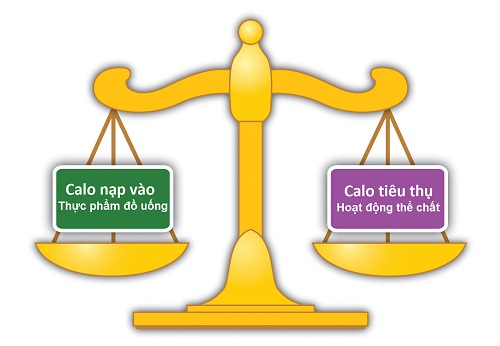giam-mo-thua-giu-dang-bang-kiem-soat-calo giam-mo-thua-giu-dang-bang-kiem-soat-calo